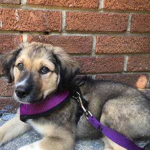 Fundraising Page: Sarah Erlewine